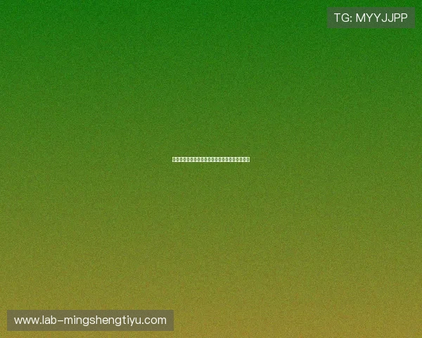 新西兰对阵伊朗世界杯比赛纪念品推荐及收藏指南 新西兰对阵伊朗世界杯比赛纪念品推荐及收藏指南